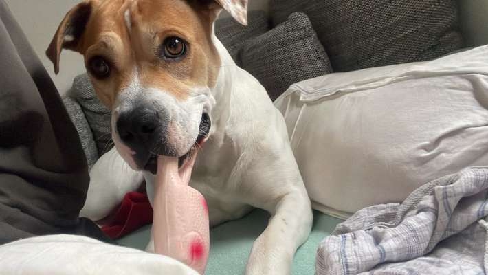 Fotochallenge Nr. 64-Beitrag-Bild