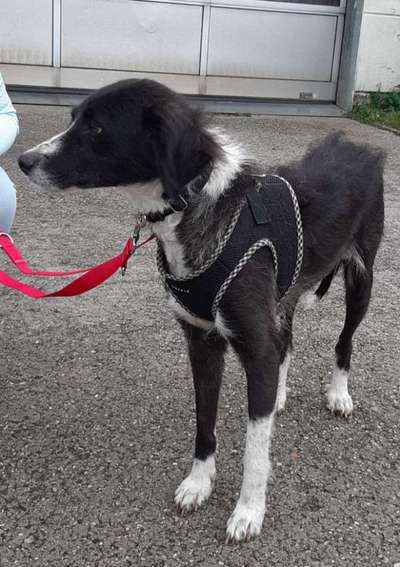 Fotochallange Nummer 5-Beitrag-Bild