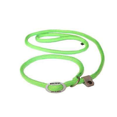 Antizug Halsband mit Zugstopp?-Beitrag-Bild