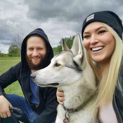 Hundetreffen-Gassi/Training-Profilbild