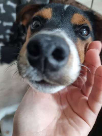 Ratespaß geht weiter-Beitrag-Bild