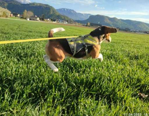 Fotowettbewerb Natur-Beitrag-Bild