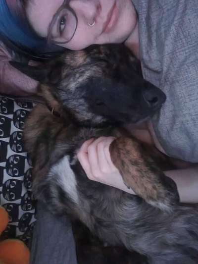 Wie soll ich ihm grenzen setzen?-Beitrag-Bild