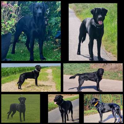 32. Collagen Challenge - eure liebsten gestellten Fotos-Beitrag-Bild