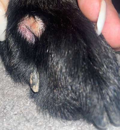 Hotspot?-Beitrag-Bild