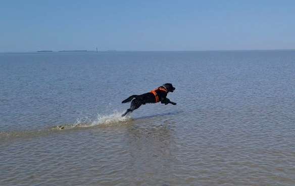 Eure schönsten Fotos mit Wasser-Beitrag-Bild