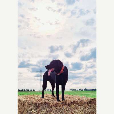 17. Farben Foto Challenge: Pastellfarben-Beitrag-Bild