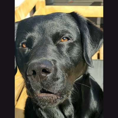 147. Foto Challenge: Bettelblick-Beitrag-Bild