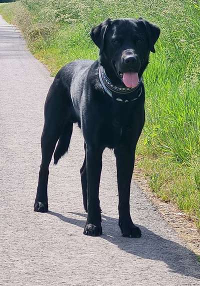 Lieblings Fotos-Beitrag-Bild