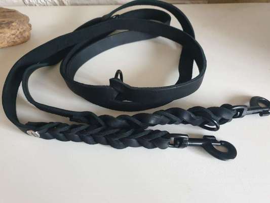 Welche Leine nutzt ihr?-Beitrag-Bild