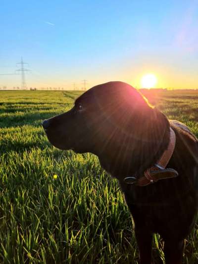 Sonnenaufgänge oder - untergänge-Beitrag-Bild