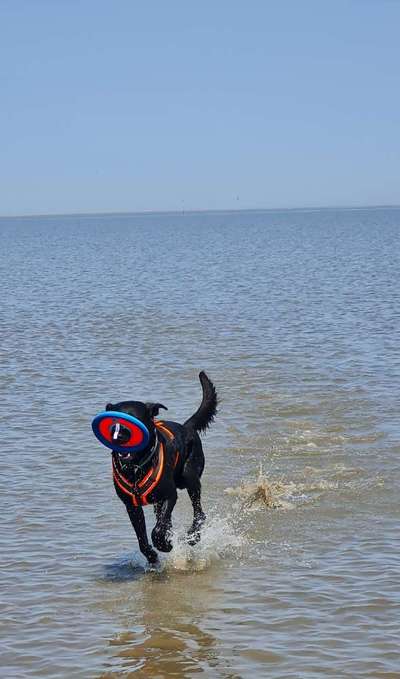 Foto Wettbewerb-Beitrag-Bild