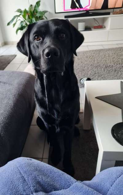 Bettel Blicke-Beitrag-Bild