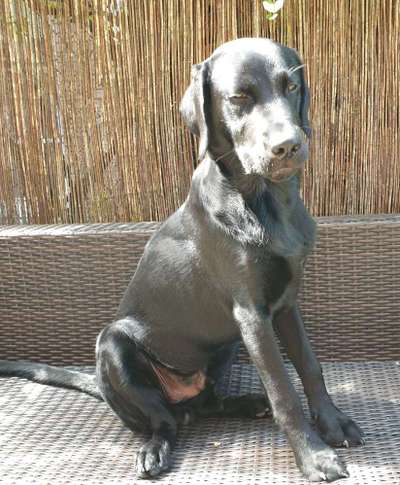 Lustigsten Bilder-Beitrag-Bild