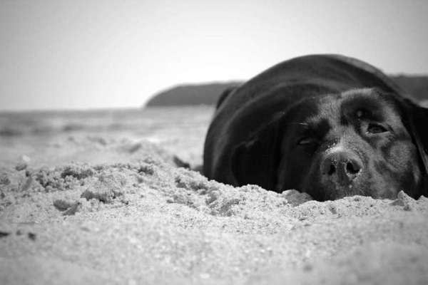 Austausch zur Fotografie-Beitrag-Bild