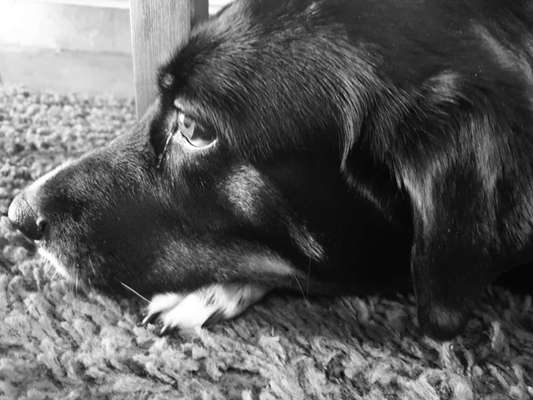 150. Foto Challaenge:  Die Augen, der Spiegel der Seele-Beitrag-Bild