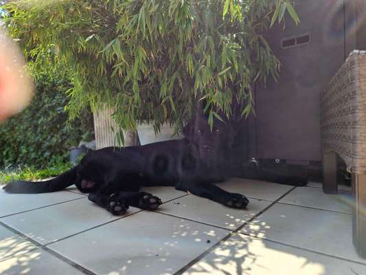 140. Foto Challenge - schattiges Plätzchen-Beitrag-Bild