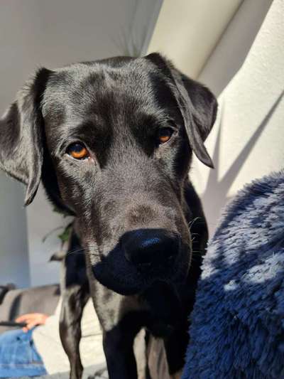 23. Handy Foto-Challenge-Beitrag-Bild