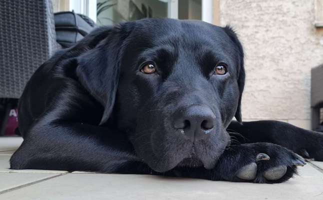 150. Foto Challaenge:  Die Augen, der Spiegel der Seele-Beitrag-Bild