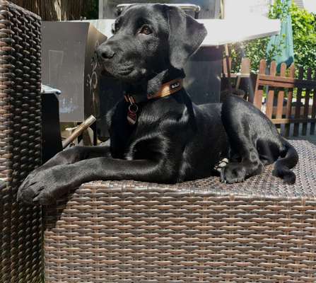 12. Farben Foto Challenge --- Braun-Beitrag-Bild