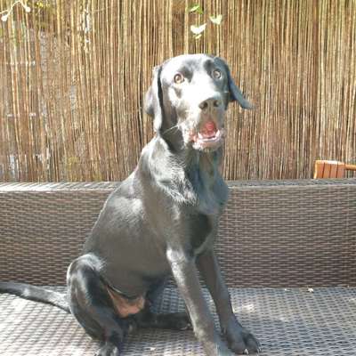 Lustigsten Bilder-Beitrag-Bild