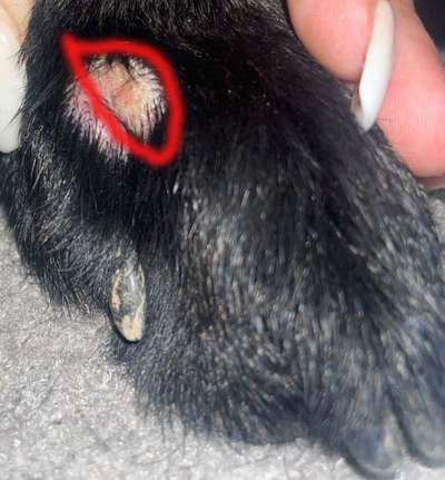 Hotspot?-Beitrag-Bild