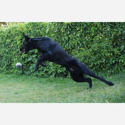 45. Handy - Foto - Challenge-Beitrag-Bild