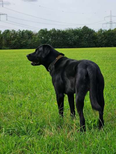 Farben Fotochallenge Thema ,,Grün"-Beitrag-Bild