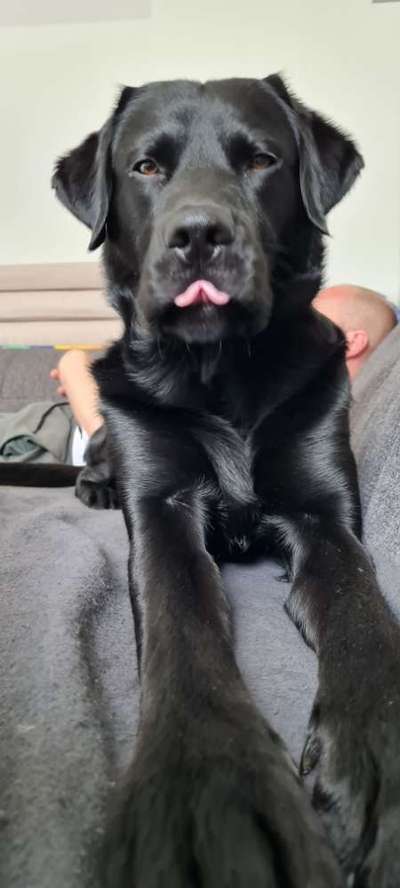 Lustigsten Bilder-Beitrag-Bild