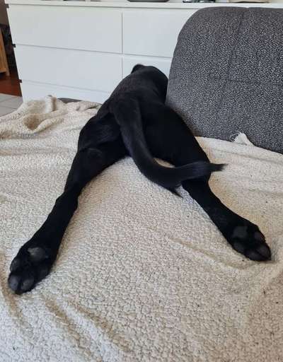 143. Fotochallenge: Ja, wo isser denn?-Beitrag-Bild