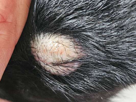 Hotspot?-Beitrag-Bild