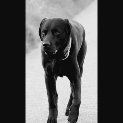 3. Farben/Fotochallenge: Schwarz/Weiß-Beitrag-Bild