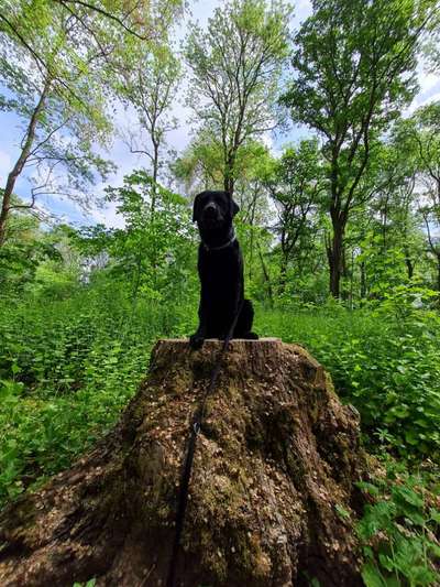 27. Handy Fotochallenge-Beitrag-Bild