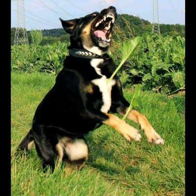 26. Handy Foto Challenge-Beitrag-Bild