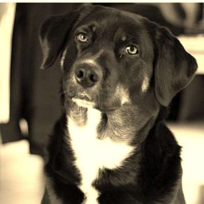 FarbenFoto - Challenge: Sepia-Beitrag-Bild