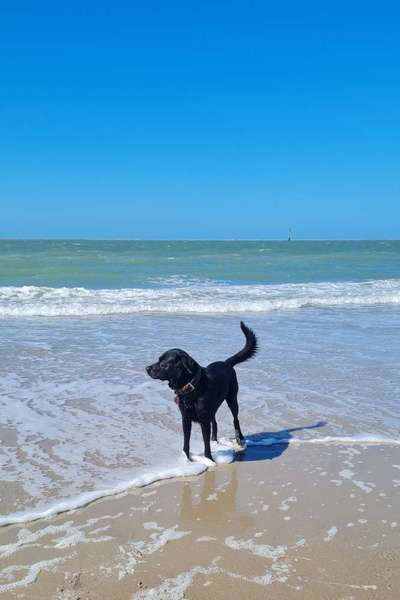 Eure schönsten Fotos mit Wasser-Beitrag-Bild