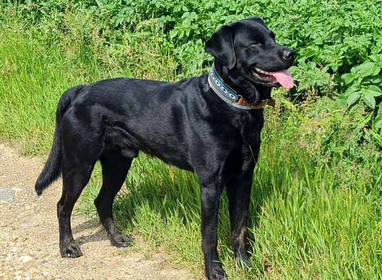 Fotochallenge Nr.122-Beitrag-Bild