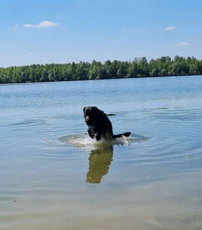 Eure schönsten Fotos mit Wasser-Beitrag-Bild