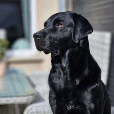 Mel's Profilbild