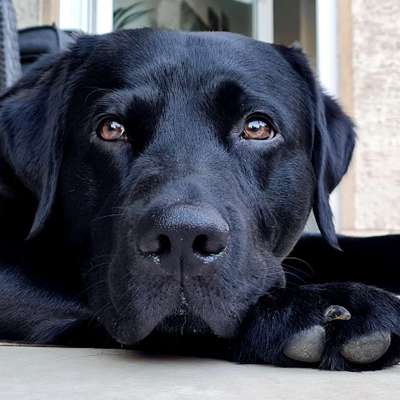 Zeigt eure Portraits-Beitrag-Bild