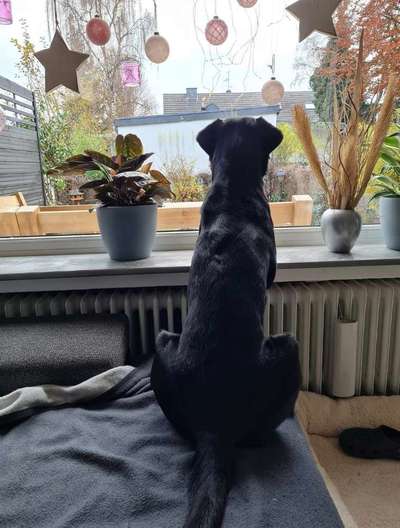 120. Fotochallenge-Beitrag-Bild