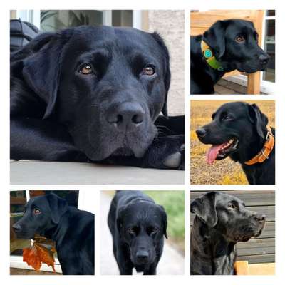 23. Collagen-Challenge: Portraits-Beitrag-Bild