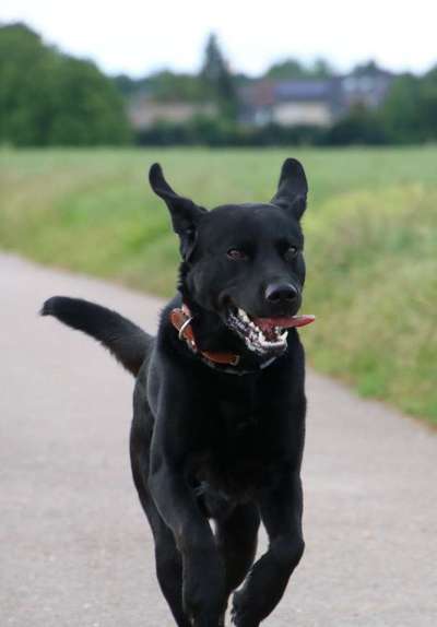 Austausch zur Fotografie-Beitrag-Bild