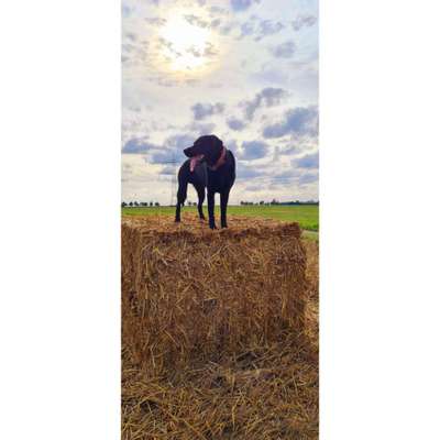 64. Handy Foto Challenge - Hoch hinaus-Beitrag-Bild