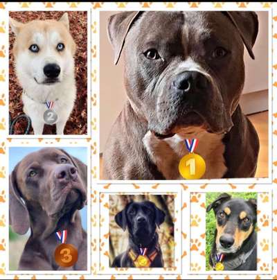 20. Handy -Foto-Callenge-Beitrag-Bild