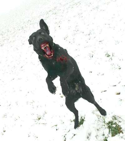 Photoshop und Co.-Beitrag-Bild