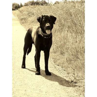 FarbenFoto - Challenge: Sepia-Beitrag-Bild