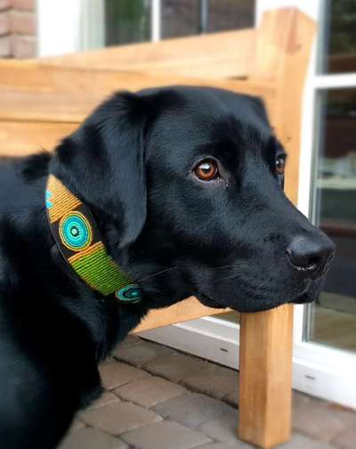 Zeigt eure Portraits-Beitrag-Bild