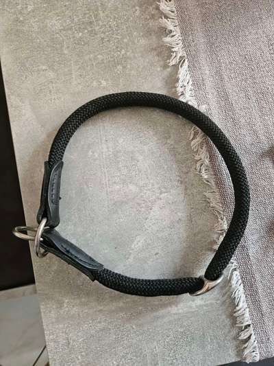 Auf der Suche nach dem richtigen Halsband-Beitrag-Bild