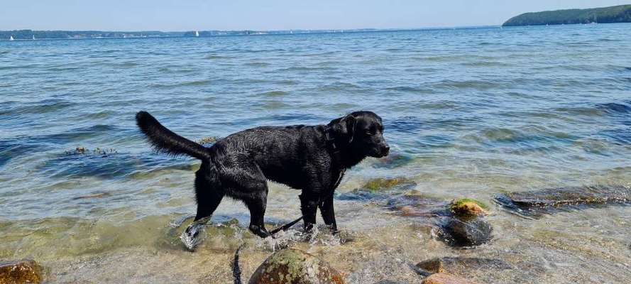 Eure schönsten Fotos mit Wasser-Beitrag-Bild